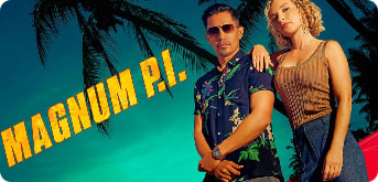 新夏威夷神探 第五季封面图