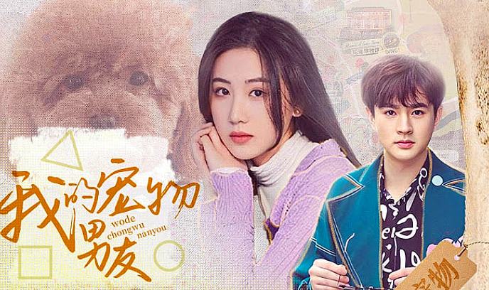 我的宠物男友封面图