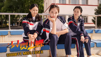 一只贾小蝶封面图