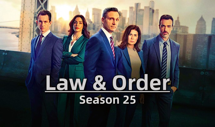 法律与秩序 第二十五季封面图