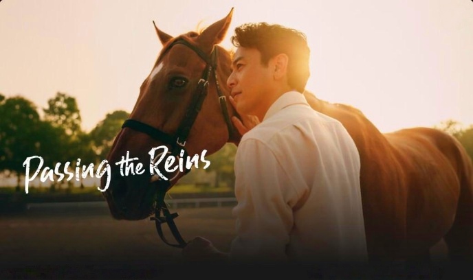 交接缰绳封面图