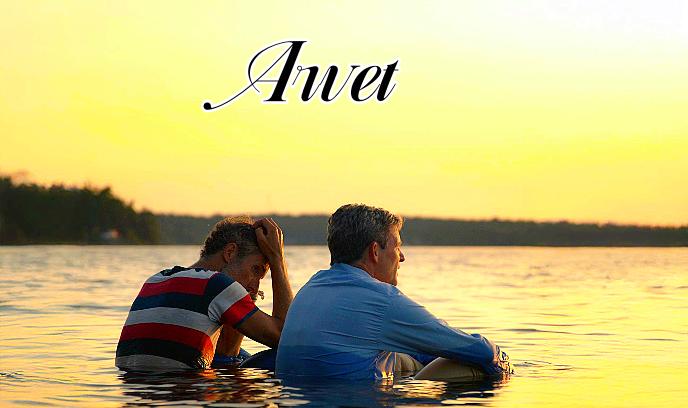 阿尔韦特封面图