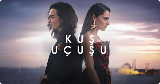 直线篡位 第二季封面图