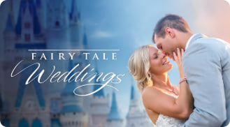 迪士尼童话婚礼封面图