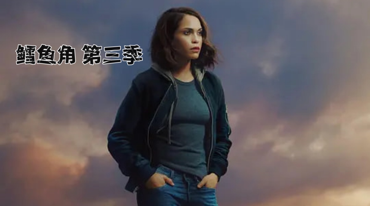 鳕鱼角 第三季封面图