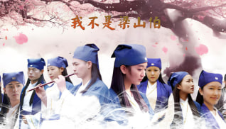 我不是梁山伯封面图