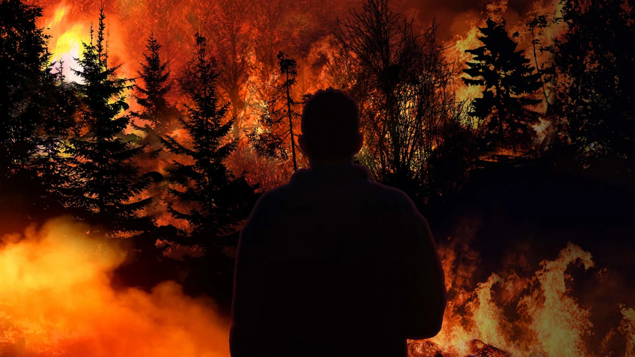 灾难的见证 第一季封面图