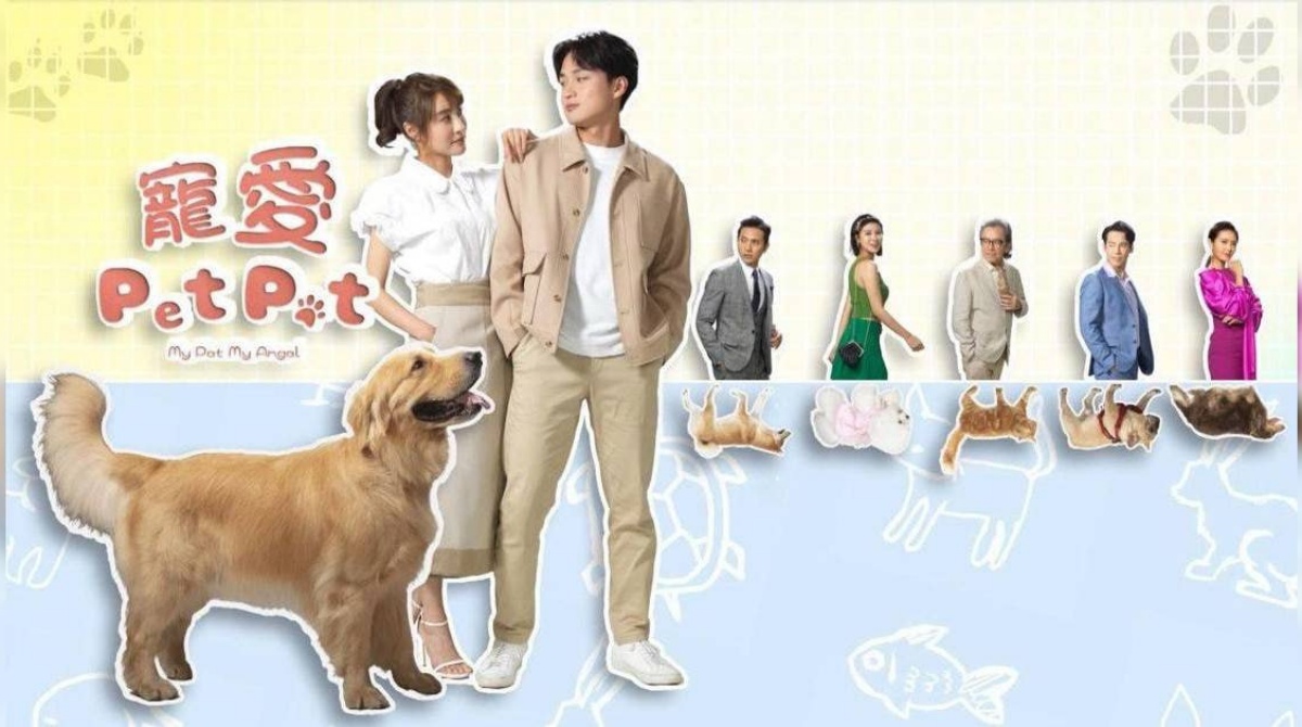 宠爱Pet Pet封面图