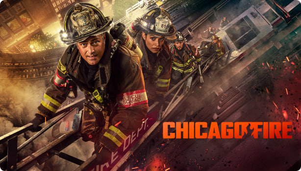 芝加哥急救 第十三季封面图