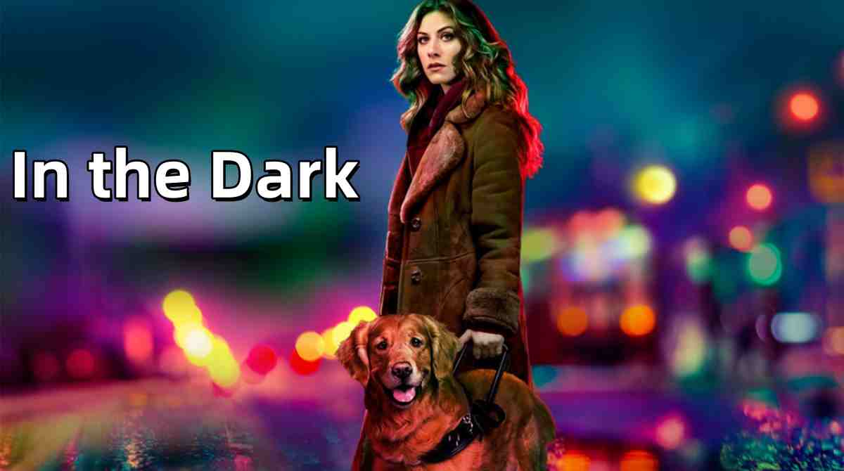 暗中 第一季封面图