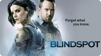 盲点 第四季封面图