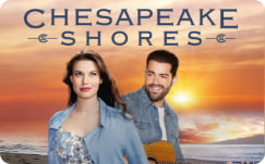 湾畔倾情 第四季封面图