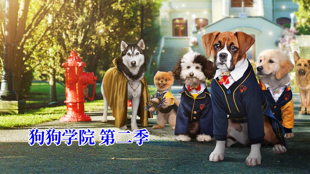 狗狗学院 第二季封面图