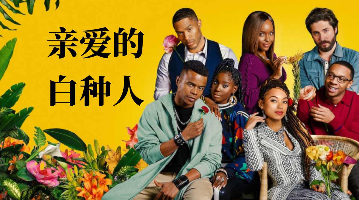 亲爱的白种人 第三季封面图