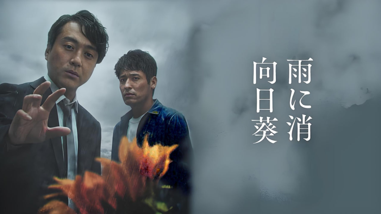 雨中消失的向日葵封面图