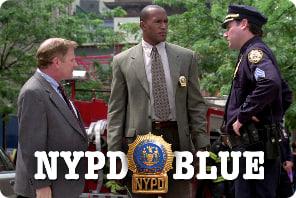 纽约重案组 第十一季封面图