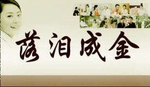 落泪成金 2007封面图