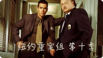 纽约重案组 第十季封面图