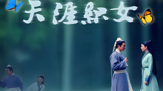 天涯织女 2010封面图