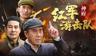 神府红军游击队 2008封面图