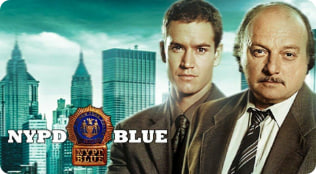 纽约重案组 第九季封面图