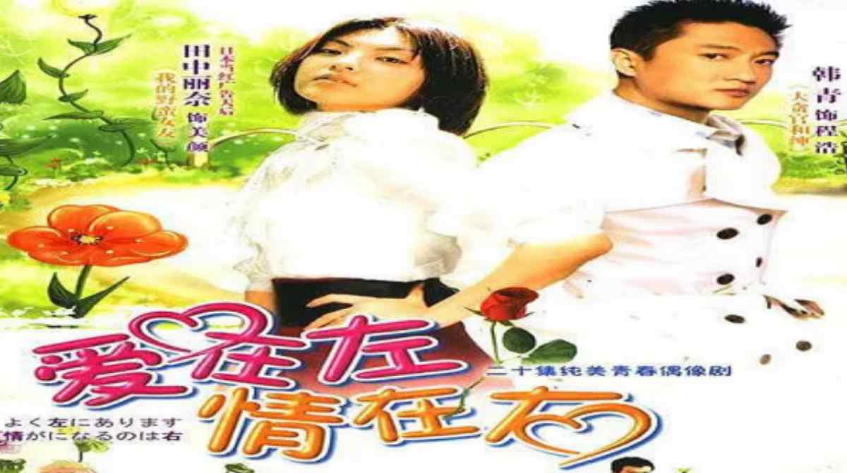 爱在左，情在右封面图