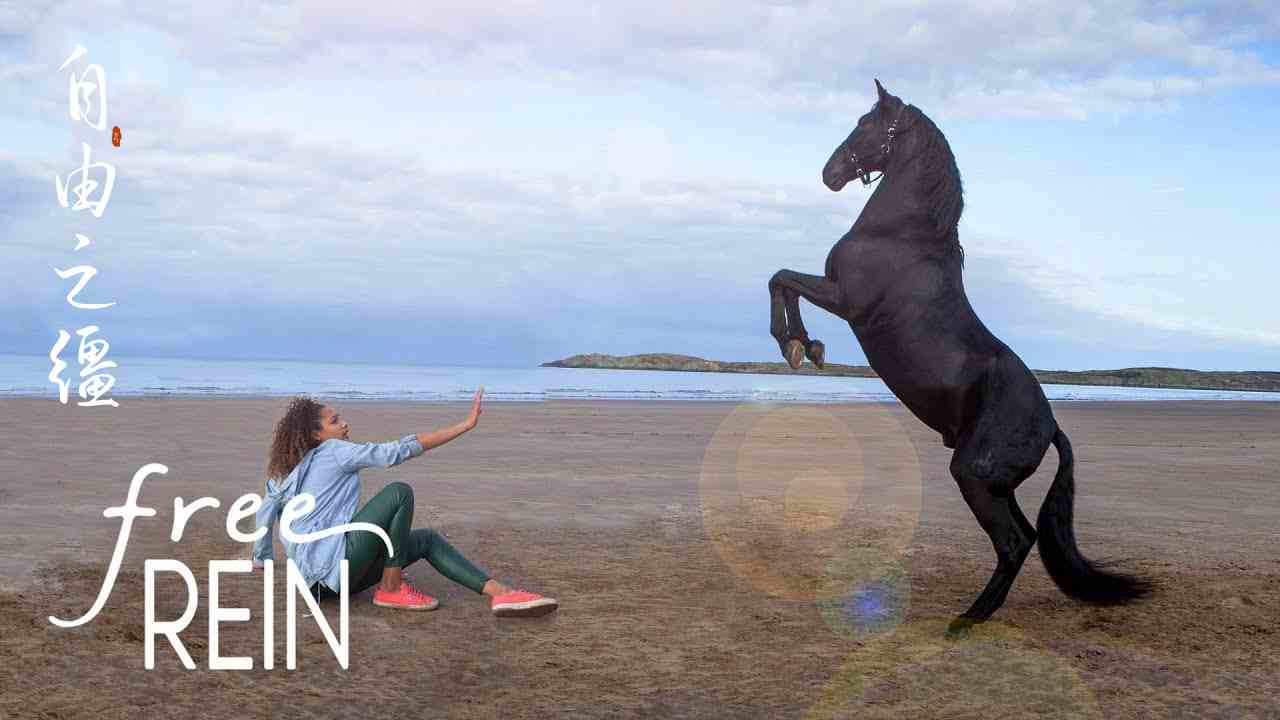 自由之缰 第一季封面图