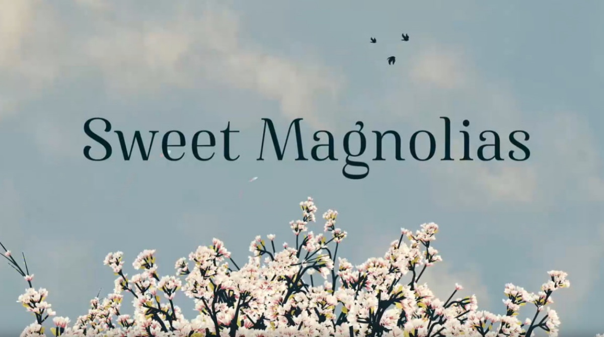 甜木兰 第二季封面图