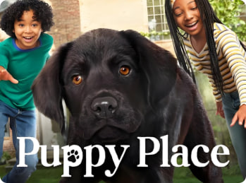 狗狗天地 第一季封面图