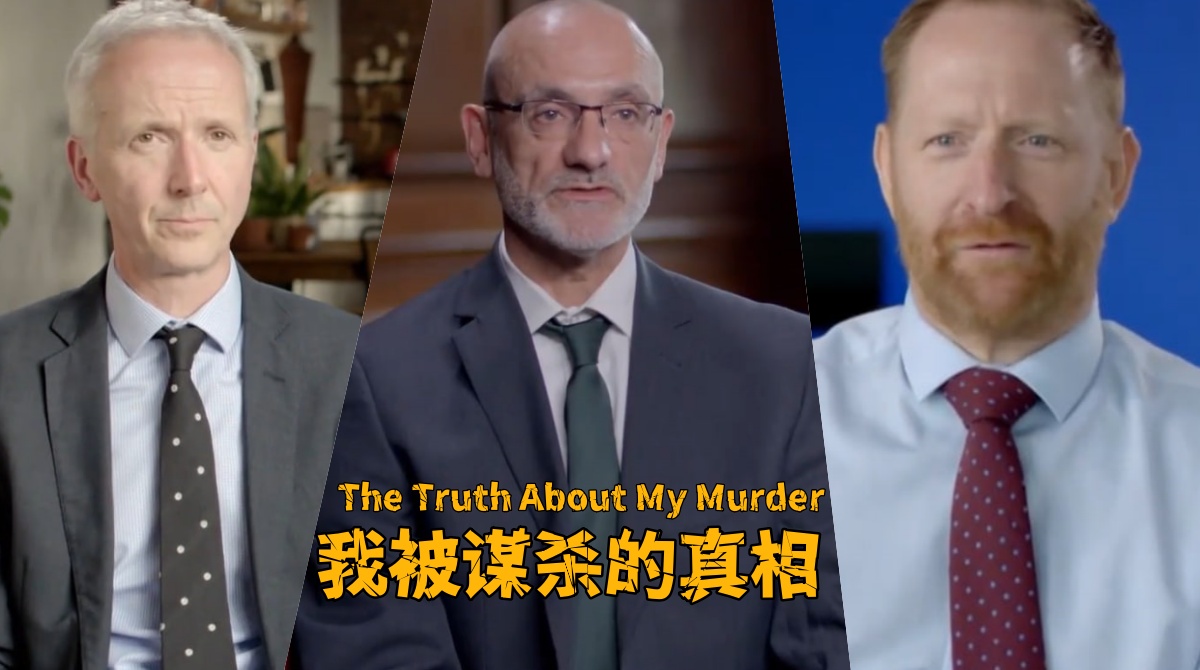 我被谋杀的真相封面图