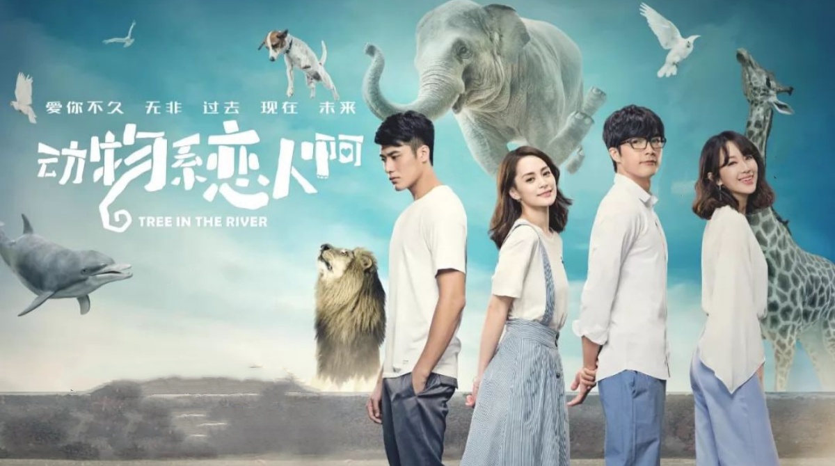 动物系恋人啊封面图