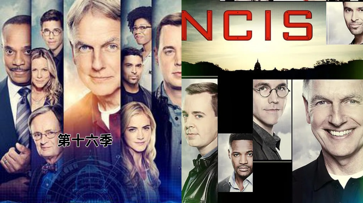 海军罪案调查处 第十六季封面图