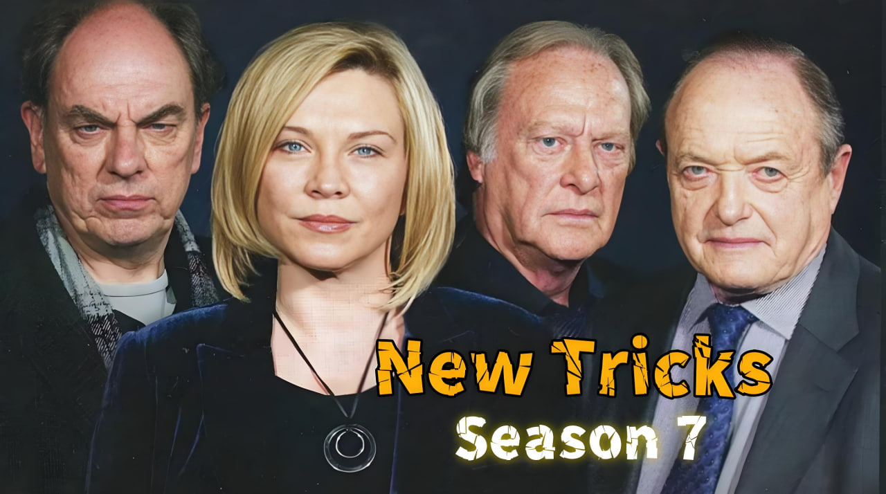 探案新窍门 第七季封面图