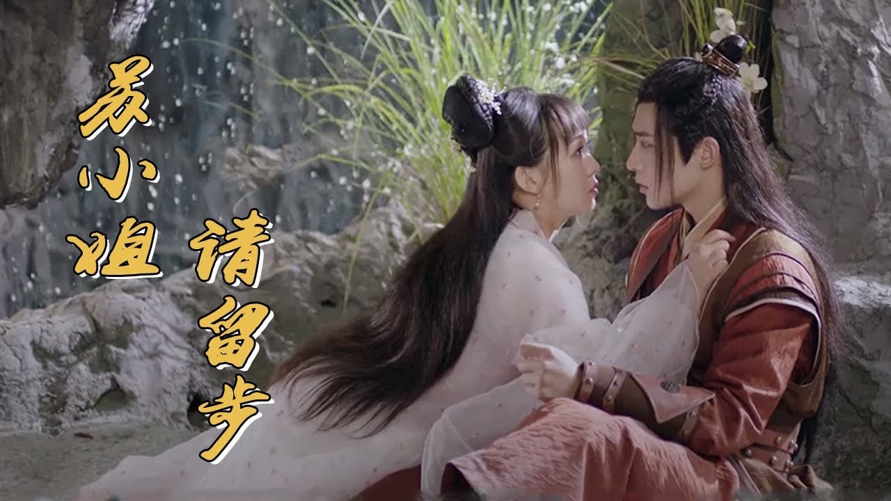 苏小姐请留步封面图