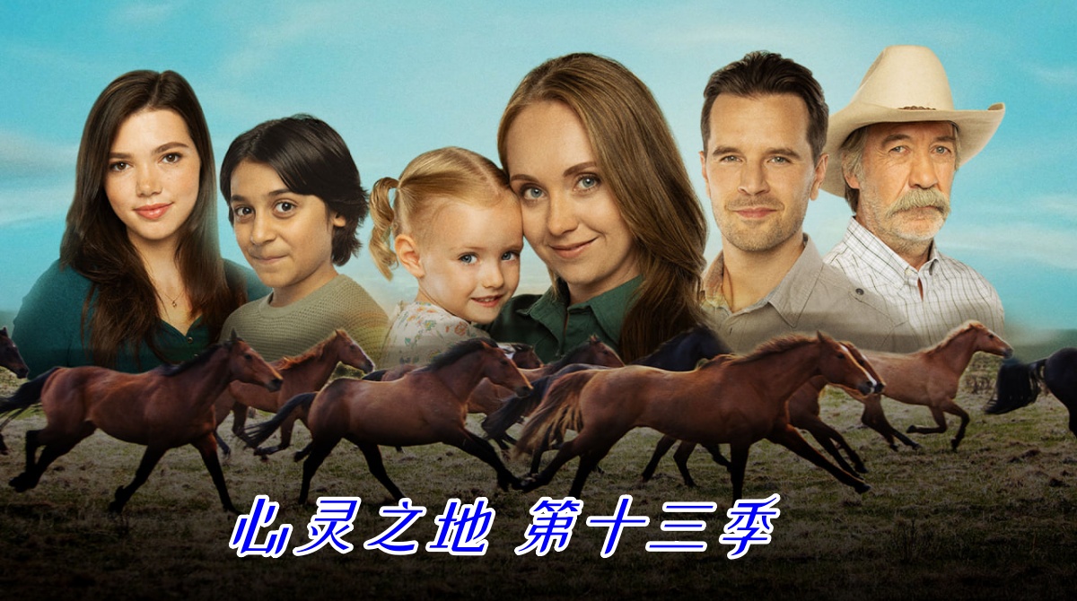 心灵之地 第十三季封面图