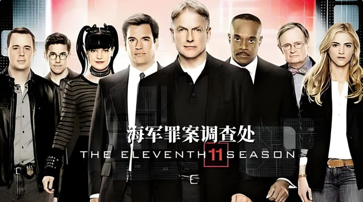 海军罪案调查处 第十一季封面图