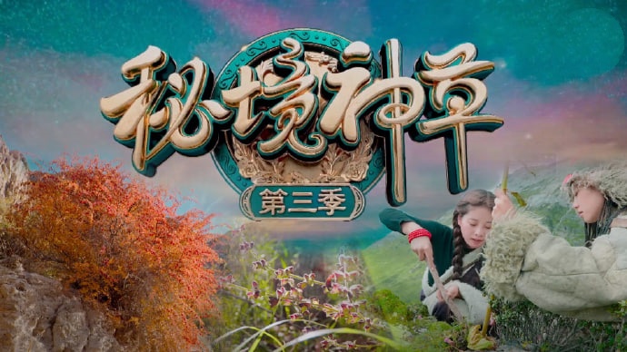 秘境神草 第三季封面图