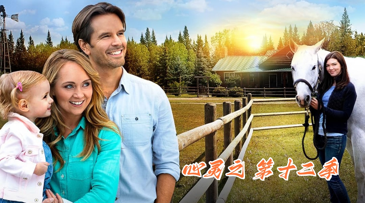 心灵之地 第十二季封面图