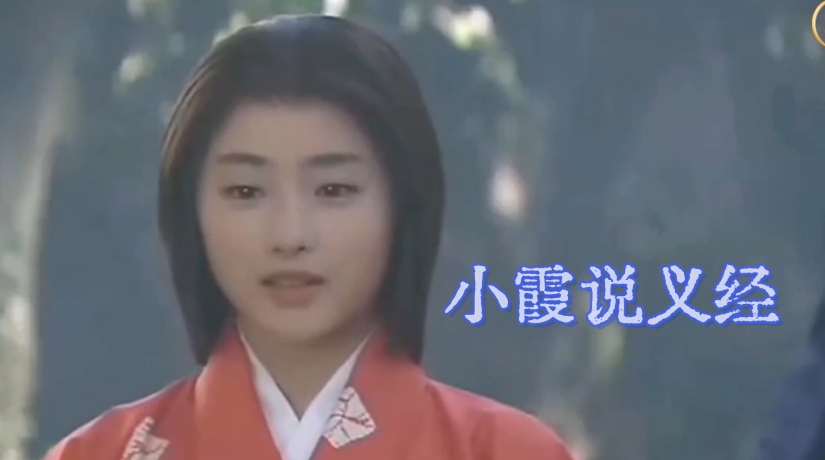 小霞说义经封面图