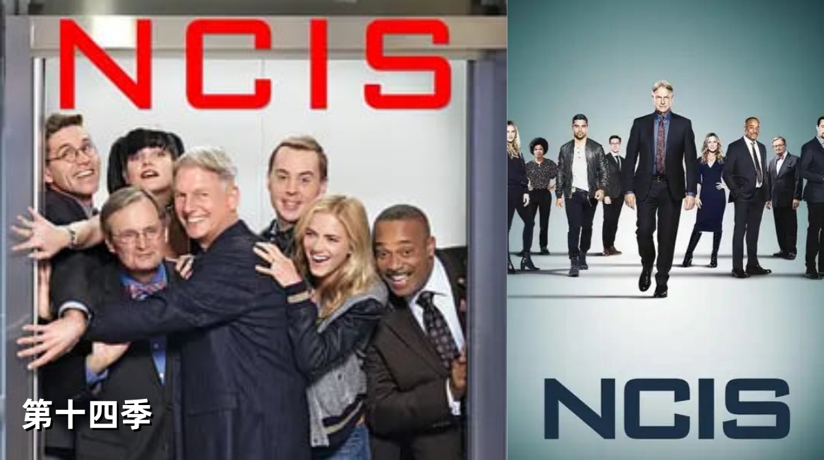 海军罪案调查处 第十四季封面图