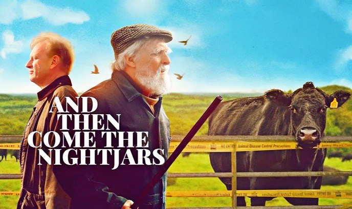 然后夜鹰来了封面图