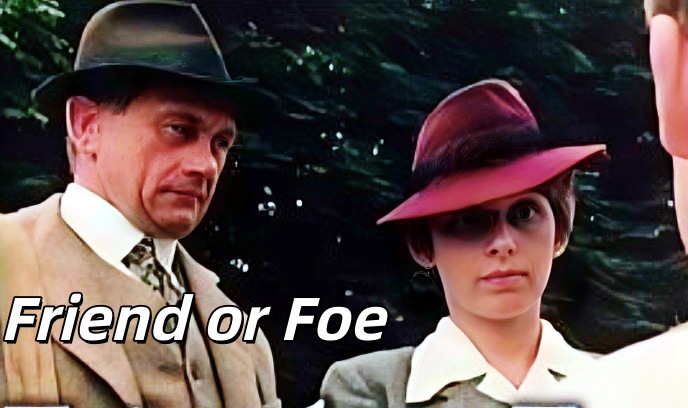 是敌是友封面图