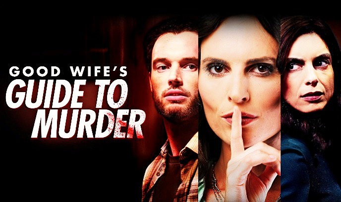 贤妻谋杀指南封面图