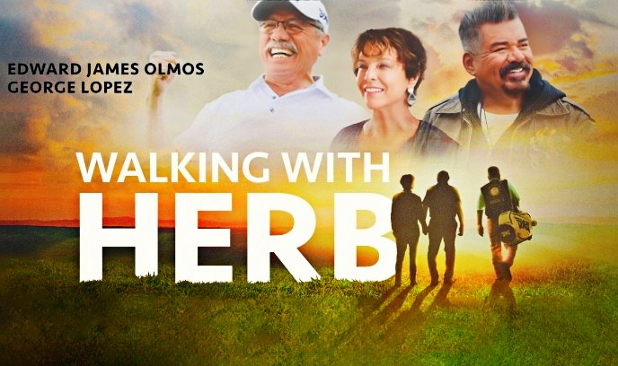 天赐赫伯封面图