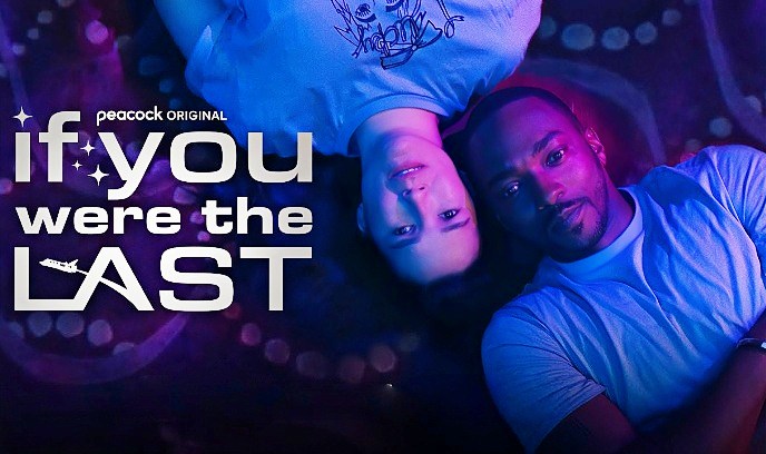 最后的爱情封面图