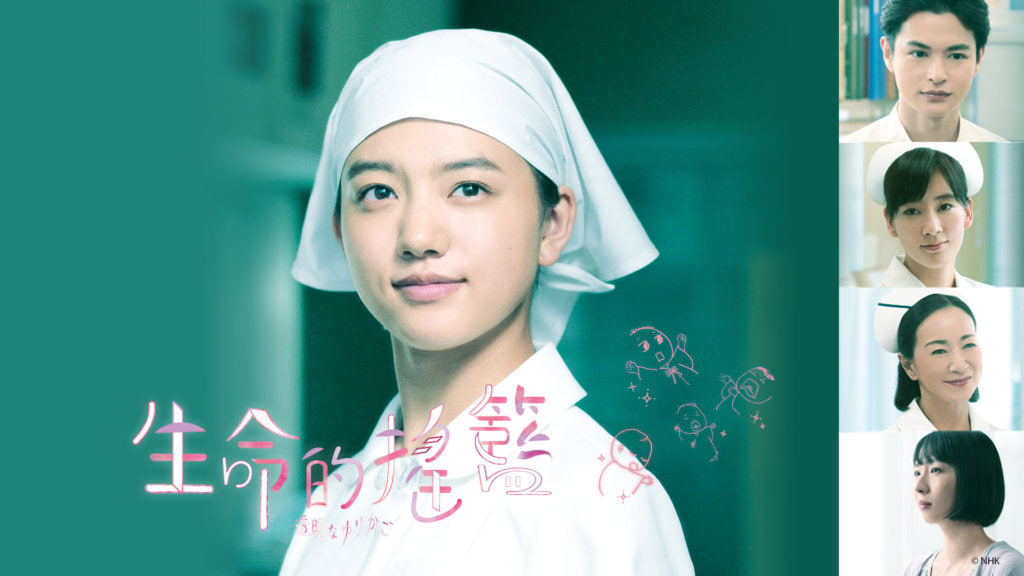 透明的摇篮封面图