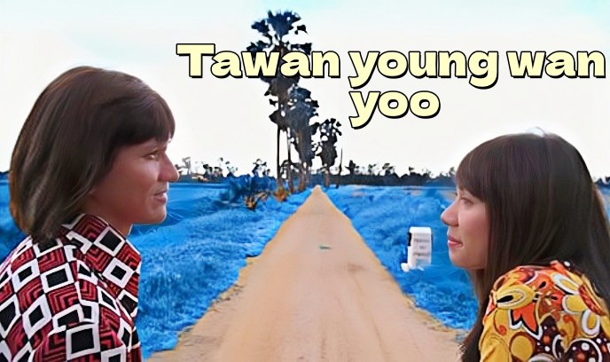 塔万年轻万柳封面图