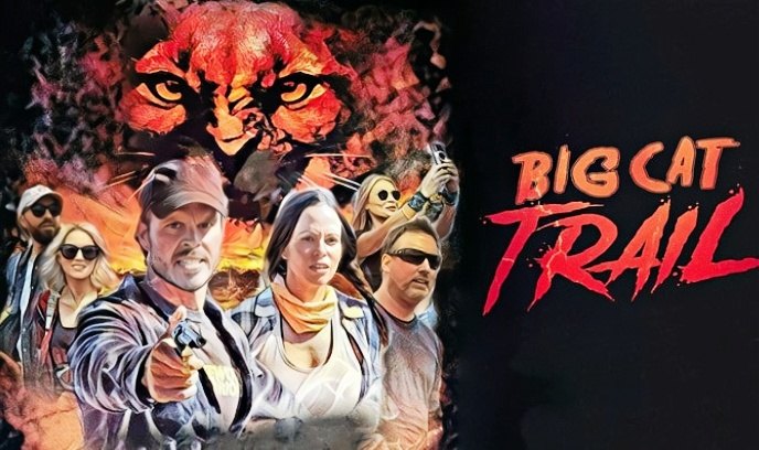 大猫小径封面图