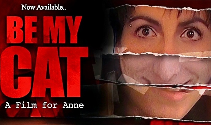 献给安妮的电影封面图