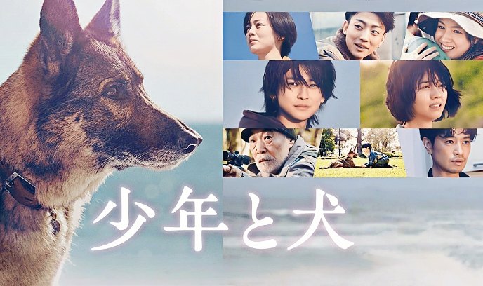 少年与犬 少年封面图